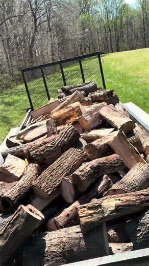 Cut and hauling logs #machinerychannel #farming #woodwork #logging
