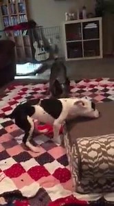 3K views · 369 reactions | Please be careful when opening this with kids present. The movie was on and of course you hear a bunch of F-bombs! The same warning is applicable to the next video as well! | Littlemisshope | Facebook