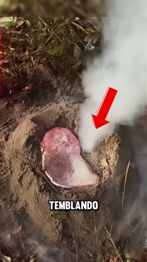 ¿Qué ocurre si viertes aluminio fundido en un hormiguero 😱🐜