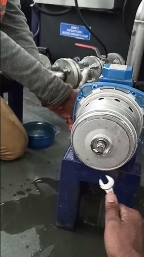 Ebara pump service