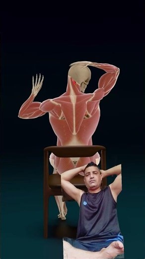 How to Release Neck Pain by Stretching the Right Muscles #hipmobility #stiffneck #movementjoints