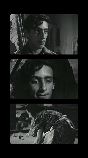 LOS OLVIDADOS, LUIS BUÑUEL (1950)