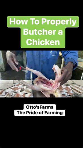 🔪🐔 How to Properly Butcher a Chicken