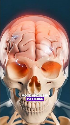 What Happens When Estrogen Levels Drop Women’s Health Explained - Low Estrogen Symptoms