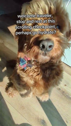 Checkpoint reached, rest now..