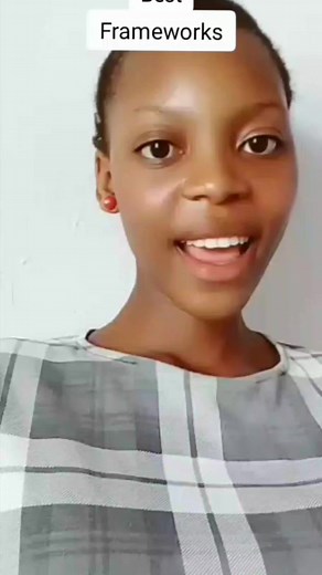 Best Frameworks and Libraries for Developers  #developermong...