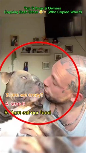 Top 5 Dogs & Owners Copying Each Other 😂🐕 (Who Copied Who?!)