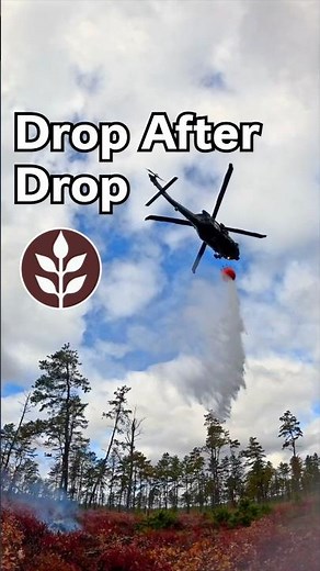 A whole morning of aerial firefighter training in one minute!