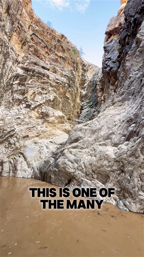 One of Arizona’s many seasonal waterfalls! #nicolefordphotography #nicoleford #arizona #azlife #ilovearizona #adventure #photooftheday #instagood #explorearizona #landscape #usa #usareels #citylife #city #landscapephotography #visitarizona #ArizonaTravel #arizonaliving #fypageシ #fypシ #explorepage #highlightsシ゚ #phoenix #phoenixAZ #placestovisit #arizonalandscapephotography #waterfall #hiking #hikemoreworryless #hike | Nicole Ford Photography