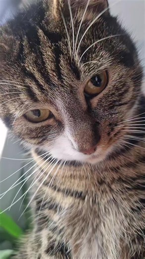 Banjo's Heartfelt Thank You for Birthday Messages