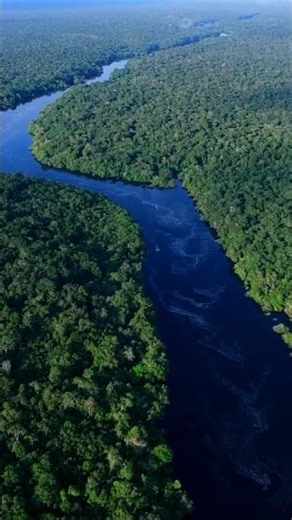 Amazon rainforest// Amazon ki nadiyan fact 😱😱 ??