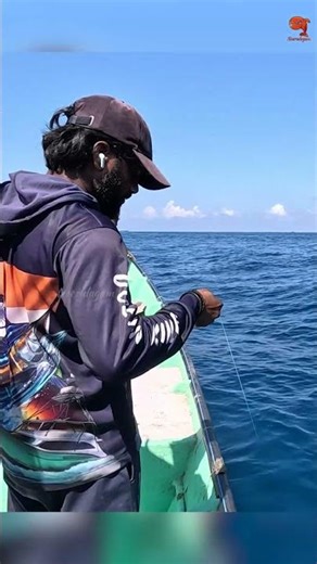 Bonito hooked with fishing lure as bait! #fishing #fishingvideo #fishingtime