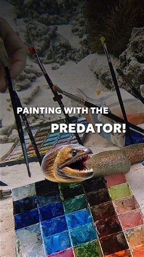 Predator the movie was inspired by this exact sea creature.