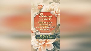 Peony vibe: Exploring the history and cultural legacy of the peony