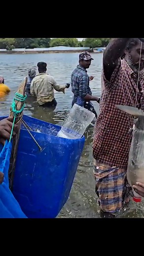 1.4M views · 9.9K reactions | #bottle #fishing #hunting #strategy | Vin Extreme Videos | Facebook