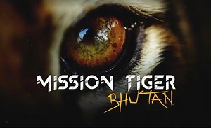 56K views · 57 shares | Emmanuel Rondeau, wildlife filmmaker and...