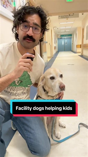 When Gaston Langezaal enters the Mt. Washington Pediatric Hospital parking lot each morning, his wet, black nose begins to twitch with excitement. But from the moment Gaston’s human, Jennifer Langezaal, buckles a blue working-dog vest around his chest, the 7-year-old retriever mix is singularly focused on his duties: bringing comfort, healing and joy to sick and seriously injured children. “Having a dog around just makes the whole day better,” said Dr. Julia Rosenstock, a Mt. Washington Pediatri