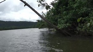 5.9K views · 346 reactions | Drop bears , Seriously who cares?路 Not...