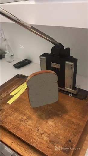 Bread Compression Study – Material Deformation Test (Bread Will Walk Lab)