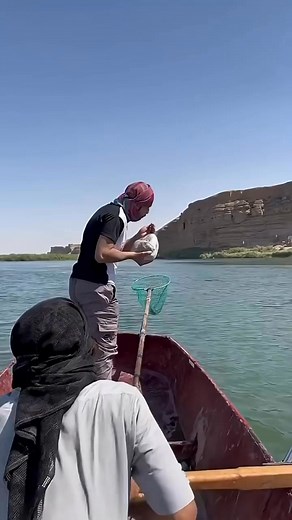 157K views · 822 reactions | Why Use Dynamite to Catch Fish  | Mind Feeder | Facebook