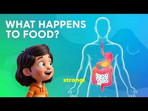 The AMAZING Digestive System for Kids! | What Happens When You EAT?