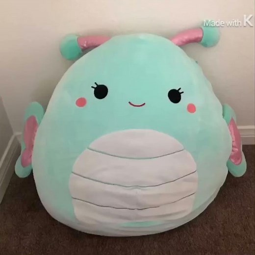 The squishmallow song!