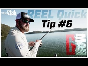 Swindle’s Forward-Facing Sonar Tips