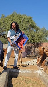 8.4K views · 405 reactions | Kalu kudal. 9991235009 | Kalu | Facebook