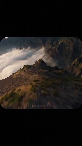 In the Beginning Meme: A Hilarious Take on Life