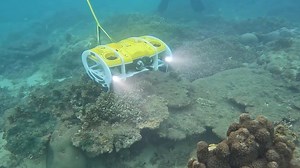 Once an uninhabited island with dying reefs, China's Fenjiezhou Island is now a marine conservation success story. Powered by AI-driven robots and years of scientific dedication, its coral reefs aren't just surviving -- they're thriving. #GLOBALink #AI #robots #WorldOceanDay | China Xinhua News