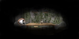 Visually Impaired Person Simulator (VR Simulation)