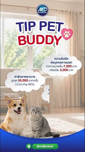 ประกันสัตว์เลี้ยง TIP PET BUDDY 😍🐶🐱