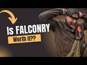 THE REALITY OF FALCONRY