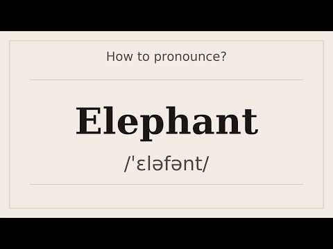 How to say Elephant? [Pronunciation with examples]
