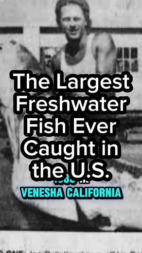 Record-Setting White Sturgeon Caught in U.S.