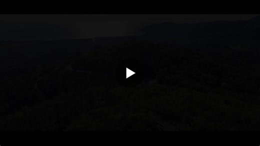 #robertetgroup #futuringnaturals #naturalingredients #fivequestionsto #perfumerlife #mimosa | Robertet Group