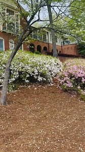 6.7K views · 15 reactions | Taylor Hicks on Reels | Facebook