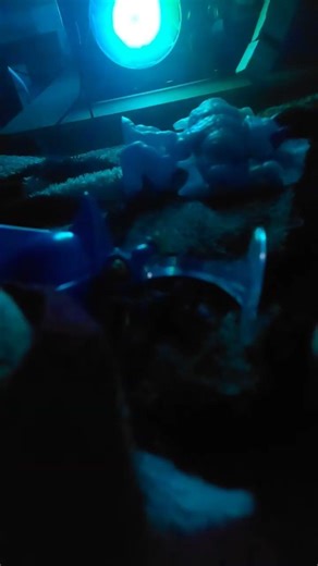 caramelldance'metal sonic