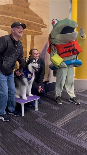 We invited Humpy to a game & it went exactly as expected 😂 #gohuskies #humpy #mariners