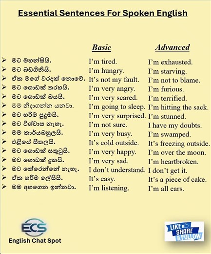 61K views · 339 reactions | Essential Sentences For Speaking English Follow for more and share with your friends #spokenenglish #englishspoken #essentialsentences #englishspeaking #en#englishspeakingpractice | English Chat Spot | Facebook