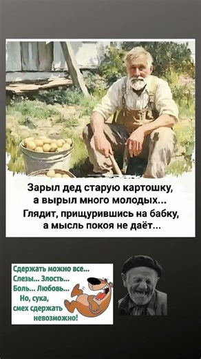 #мем#смехпродлеваетжизнь#прикол#смешновидео#смех#юмор#рек#ржака