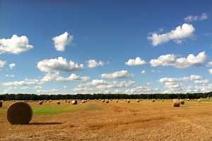 Understanding the role of carbon in agriculture – Part 1