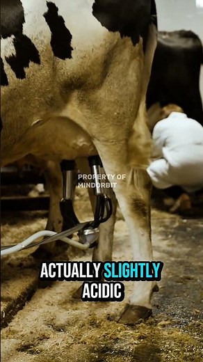 Scientific Facts About Milk: The White Liquid Full of Secrets #mindorbit #facts