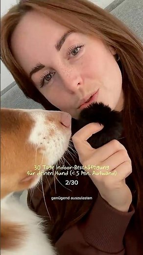 „Durch die Arme springen“ kannst du deinem Hund als Trick einfacher beibringen als du denkst