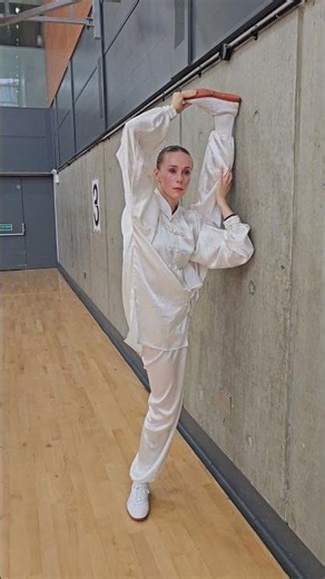 🔥 Tai Chi Competition Warm-Up | London Competition 2026 🥋☯️