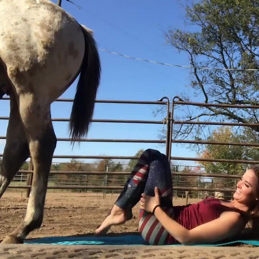 When Diablo decides to help me do yoga #circuspony #yoga #horseyoga #trickpony #horsesoftiktok #yogapartner