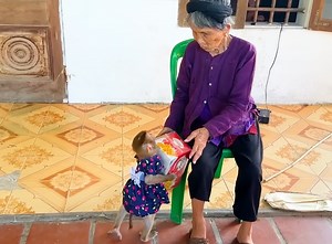 6.1K views · 283 reactions | Super intelligent Kaka help to buy cake for her grandma so appreciated | Genius Kaka | Facebook