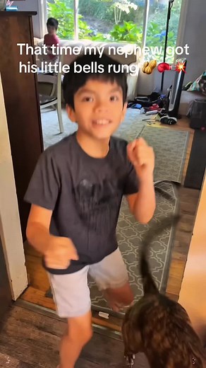 Funny Video Clips That Will Make You Laugh