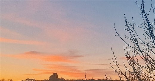 Why Spring is the Real New Year & Letting Go of Resolution Pressure