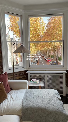 The Beauty of Seasons from My London Flat